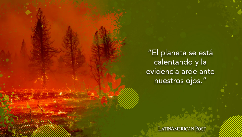 La ira del cambio climático: la catástrofe de los incendios forestales en Chile señala alarma global