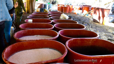 Las Fuerzas Armadas mexicanas descubren el laboratorio de metanfetamina más grande en medio del aumento del tráfico de drogas