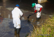 Unos trabajadores limpian un derrame de petróleo