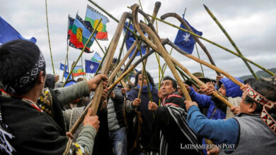The Mapuche Struggle