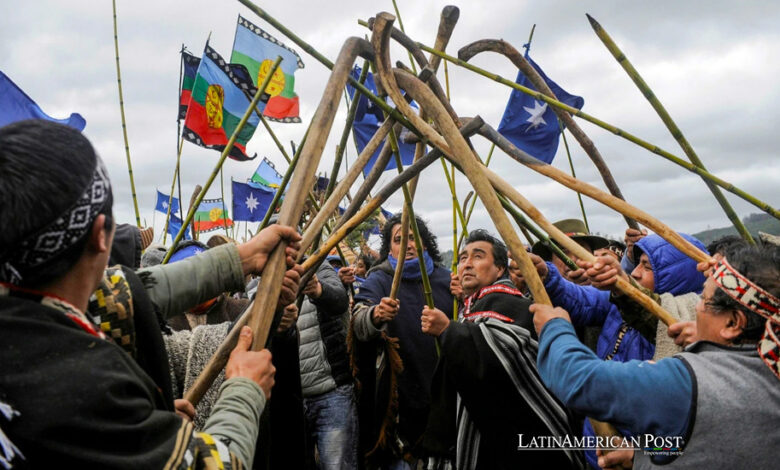 The Mapuche Struggle