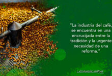 Transformando la industria del café: un enfoque integral hacia la equidad y la sostenibilidad en América Latina