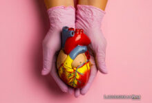 Peru Faces Long Journey in Organ Donation and Transplantation System