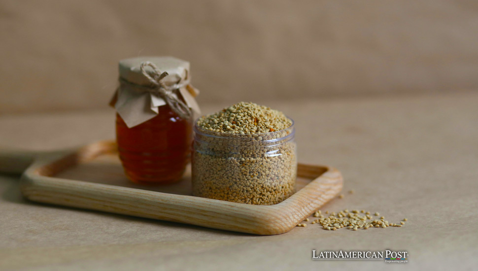 Bolivia’s Quinoa Boom: From Ancient Staple to Global Superfood Odyssey