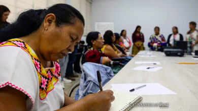 Mexico’s Indigenous Women’s Call for Rights and Ancestral Medicine Recognition