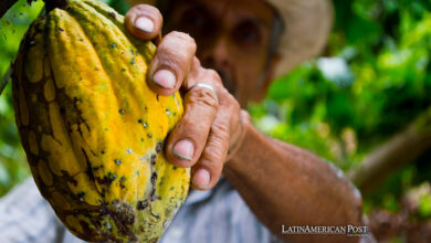 Cacao’s Trade Journey Across Latin America Spans Over 5,000 Years