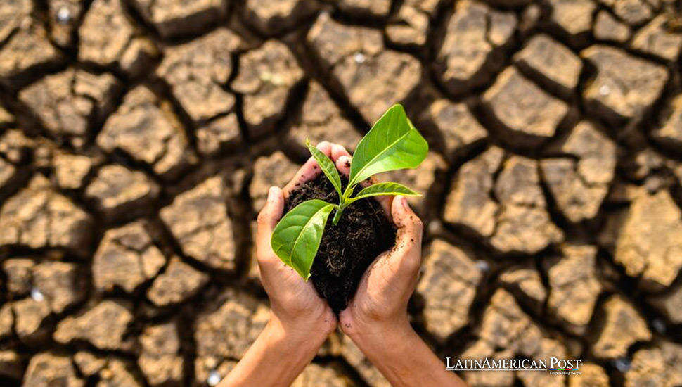 Climate Impact on Latin America’s Rich Biodiversity and Its Global Ripple Effects