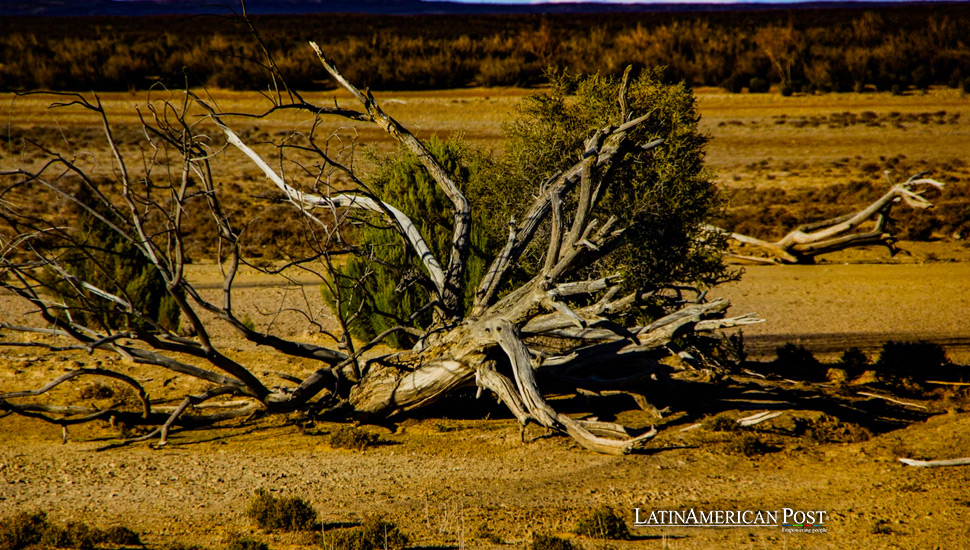 La Niña Drought Fears Resurface in Argentina and Beyond