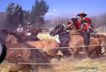 The Enduring Legacy of Chilean Rodeo