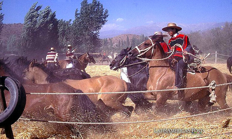 Rodeo chileno