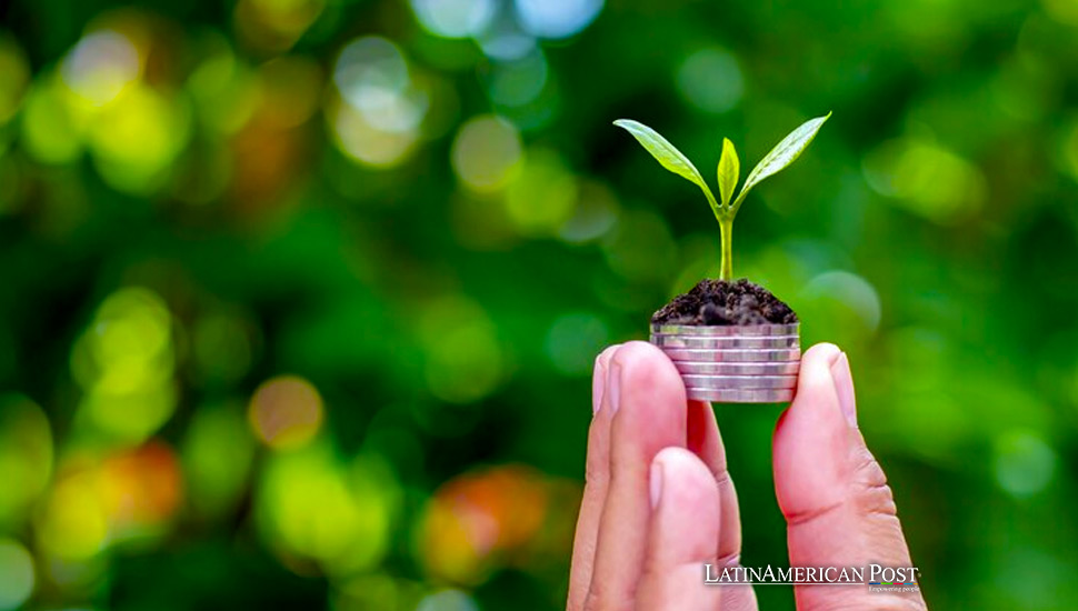 Brazil’s Green Economy Seeks Sustainable Growth