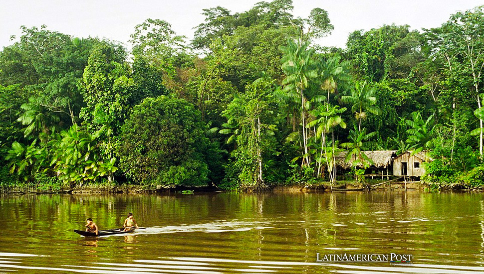 El ADN ambiental ayuda a identificar especies en la Amazonía peruana