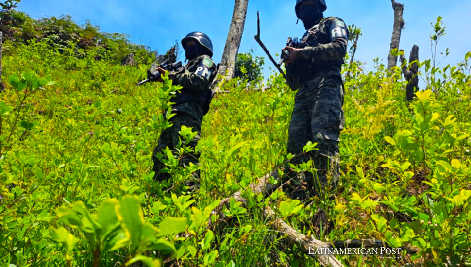 Se revela intensificación de la lucha contra las drogas en Honduras