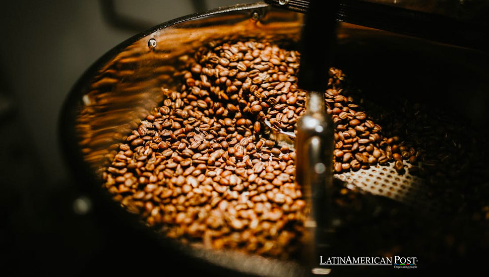 Science Unlocks Arabica Genome Boosting Latin America’s Coffee Crop Resilience