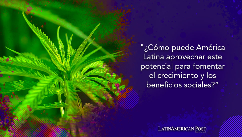 Economía verde: Cómo América Latina podría prosperar con la legalización del cannabis