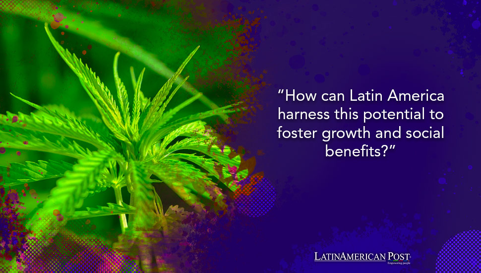 Green Economy: How Latin America Could Thrive on Cannabis Legalization