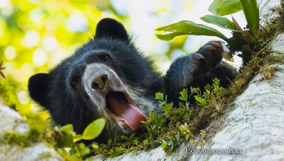 La biodiversidad del Ecuador brilla en cautivadora exposición fotográfica “Ecuador en Imágenes”