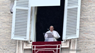 Pope Francis leads Sunday's Regina Caeli prayer from the window of his office