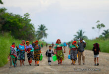 Indígenas de la comunidad Guna Yala caminan hacia la zona donde están sus nuevas casas, este miércoles en Isberyala (Panamá).