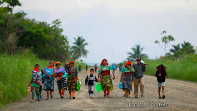 Indígenas de la comunidad Guna Yala caminan hacia la zona donde están sus nuevas casas, este miércoles en Isberyala (Panamá).