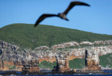 Galápagos Science Plan Launched by Charles Darwin Foundation