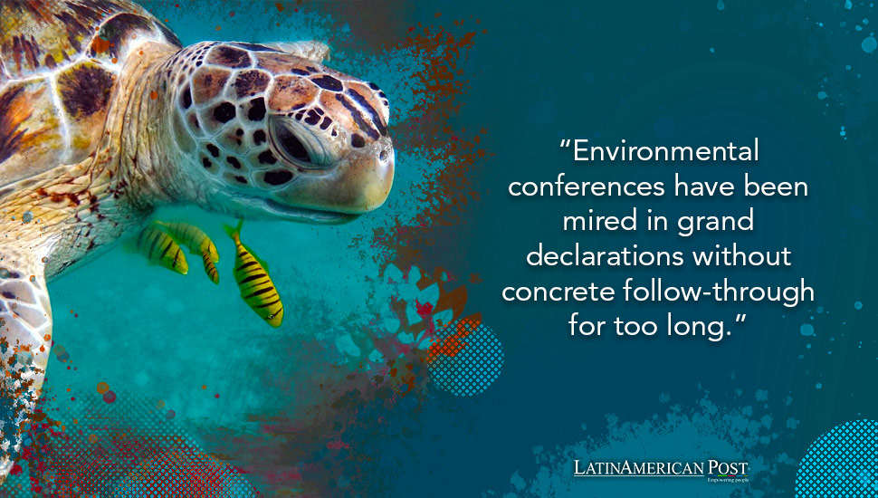 Action Plan Needed for Marine Turtle Conservation Efforts During Ecuador COP11