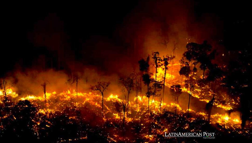 El Pantanal de Brasil enfrenta devastadores incendios forestales en medio de la crisis climática