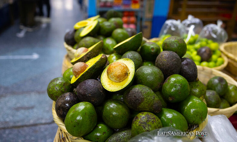 Mexico and U.S. Enhance Security for Avocado and Mango Inspectors