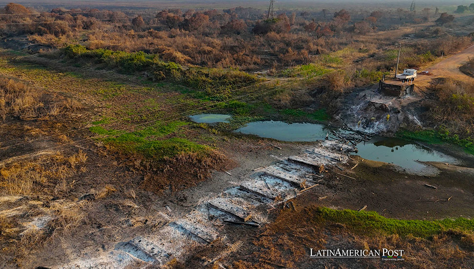 Brazil Intensifies Efforts to Identify Arsonists Behind Pantanal Fires