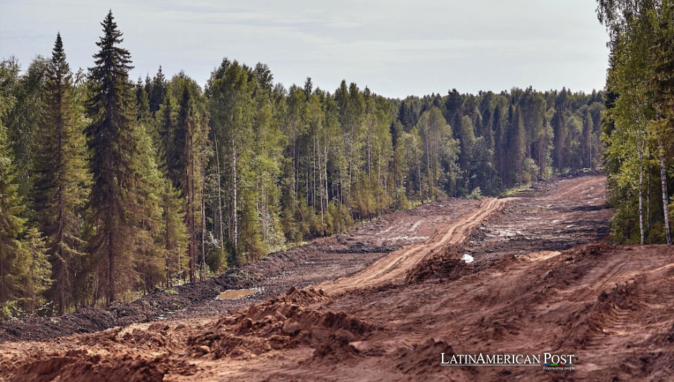 Honduras Unites to Combat Deforestation with Ambitious 2029 Strategy