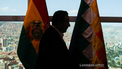 El presidente de Bolivia, Luis Arce, habla en una entrevista con EFE