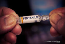 Caen las incautaciones de fentanilo en México en medio del conflicto interno entre cárteles y el foco en la metanfetamina