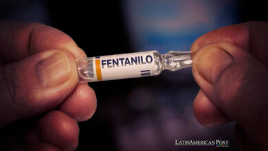 Caen las incautaciones de fentanilo en México en medio del conflicto interno entre cárteles y el foco en la metanfetamina