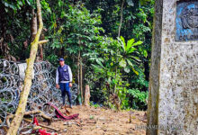 Panama Border Closures May Increase Endemic Diseases in Colombia