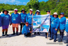 Las mujeres mayas Chelemeras restaurando manglares en Yucatán, México