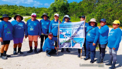 Las mujeres mayas Chelemeras restaurando manglares en Yucatán, México