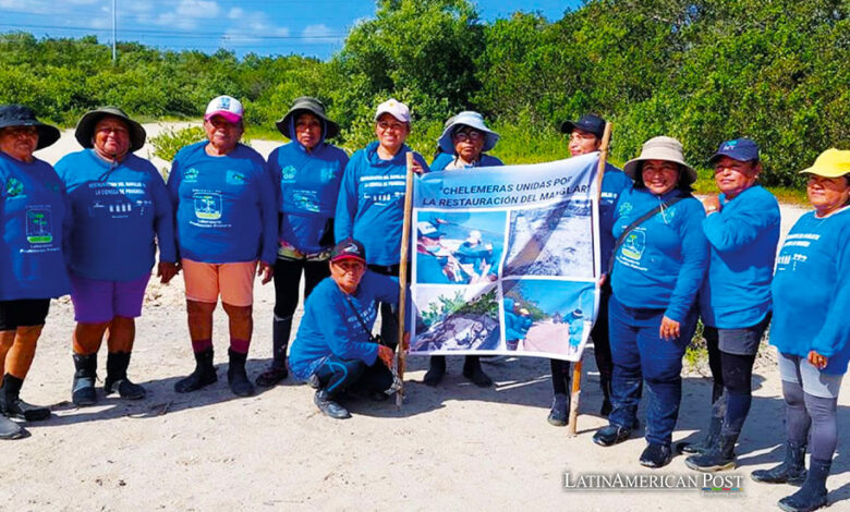 The Chelemeras Maya Women Restoring Mangroves in Mexico’s Yucatán