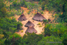 Pueblo Kakataibo en Perú defiende tierras ancestrales de narcotraficantes
