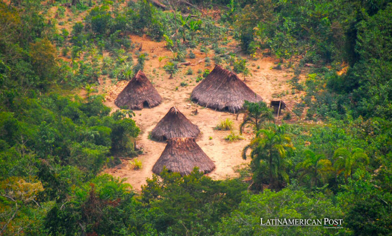 Kakataibo People in Peru Defend Ancestral Lands from Drug Traffickers