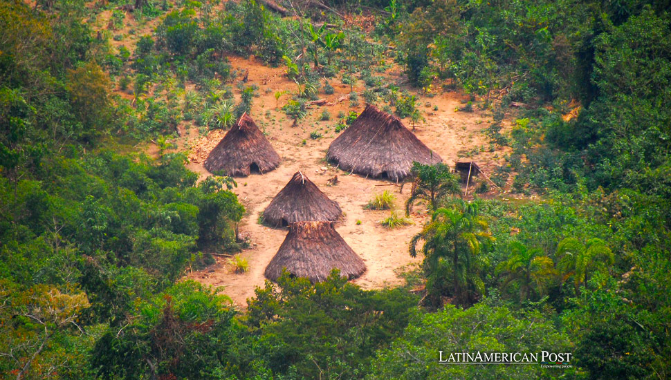 Kakataibo People in Peru Defend Ancestral Lands from Drug Traffickers