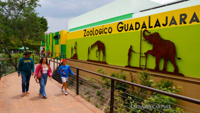 Dentro del Hospital Veterinario Transparente del Zoológico de Guadalajara, México