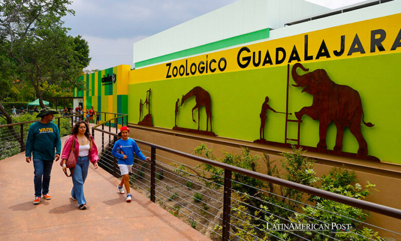 Dentro del Hospital Veterinario Transparente del Zoológico de ...