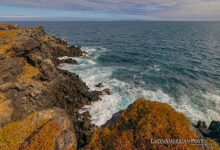 Las Islas Galápagos de Ecuador enfrentan el cambio climático y las especies invasoras