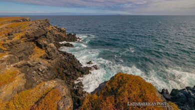 Ecuador’s Galapagos Islands Facing Climate Change and Invasive Species