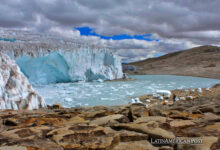 Tropical Andean Glaciers Show Unprecedented Retreat Due to Climate Change