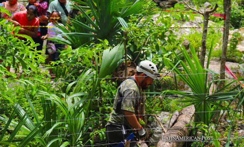 Ceiba Xocén