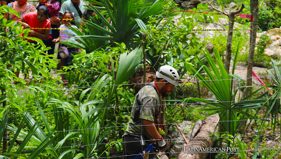 La Sagrada Ceiba de Xocén en México cae al abismo