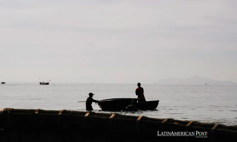 Pescadores brasileños utilizan aplicación móvil para luchar contra la destrucción ambiental