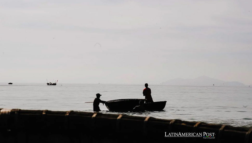 Pescadores brasileños utilizan aplicación móvil para luchar contra la destrucción ambiental