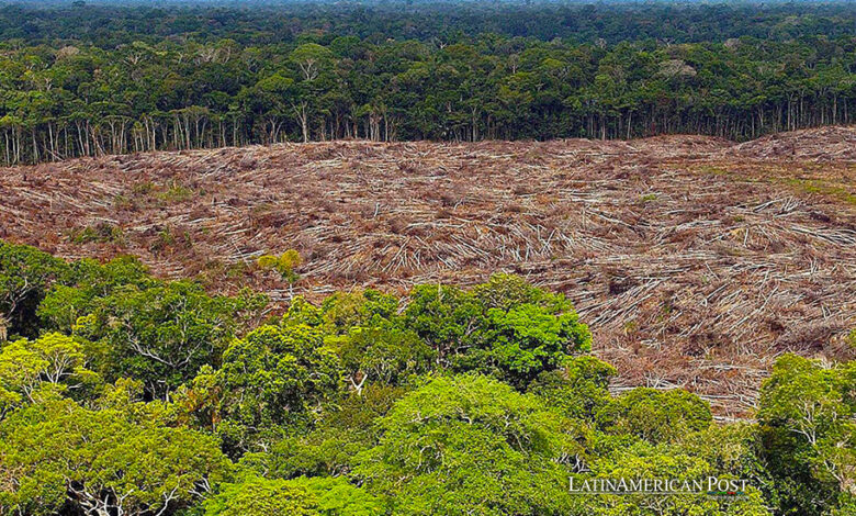 Brazil Has Lost a Third of its Natural Areas